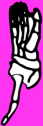 Dem bones dem bones dem – dry bones!
