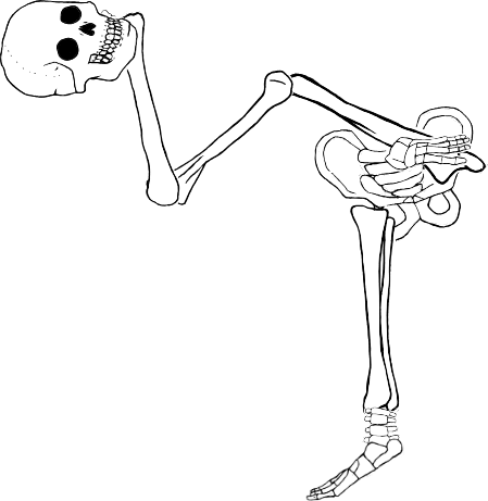 Dem bones dem bones dem – dry bones!