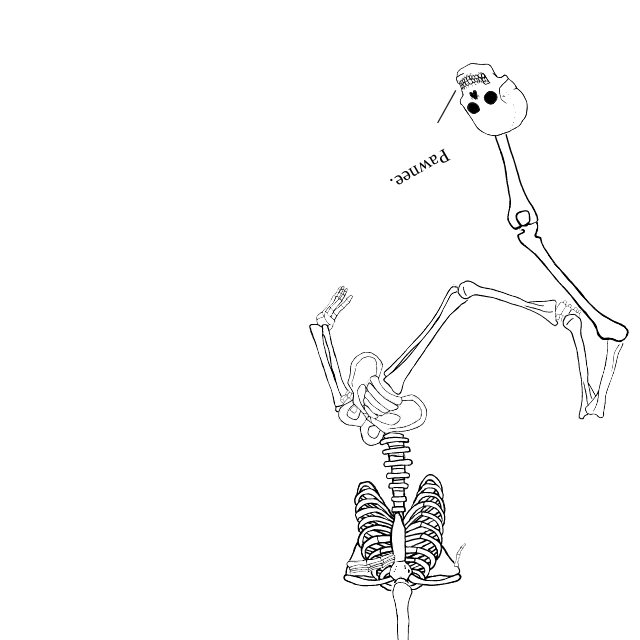 Dem bones dem bones dem – dry bones!
