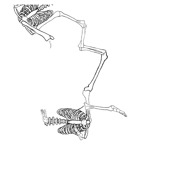 Dem bones dem bones dem – dry bones!