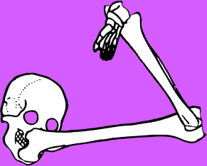 Dem bones dem bones dem – dry bones!