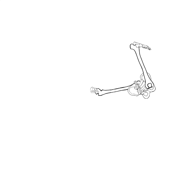 Dem bones dem bones dem – dry bones!