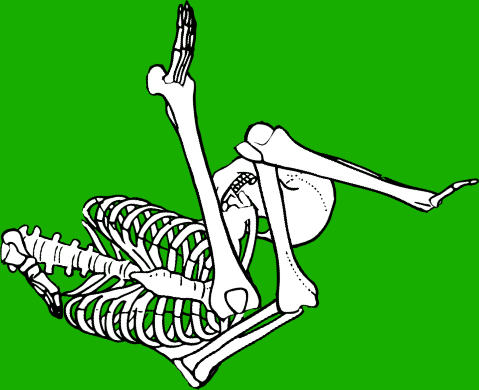 Dem bones dem bones dem – dry bones!