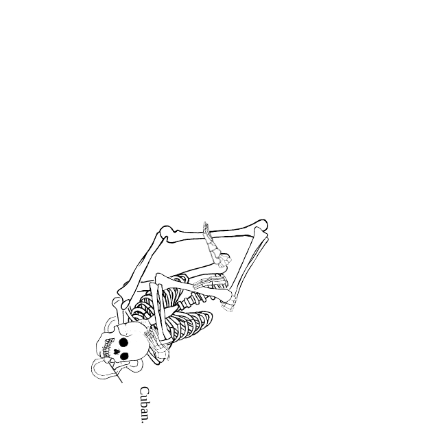 Dem bones dem bones dem – dry bones!