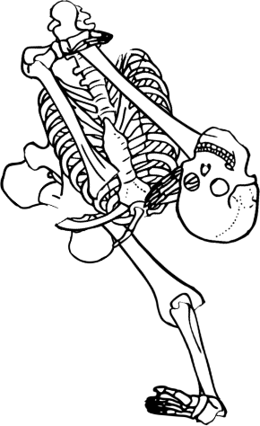 Dem bones dem bones dem – dry bones!