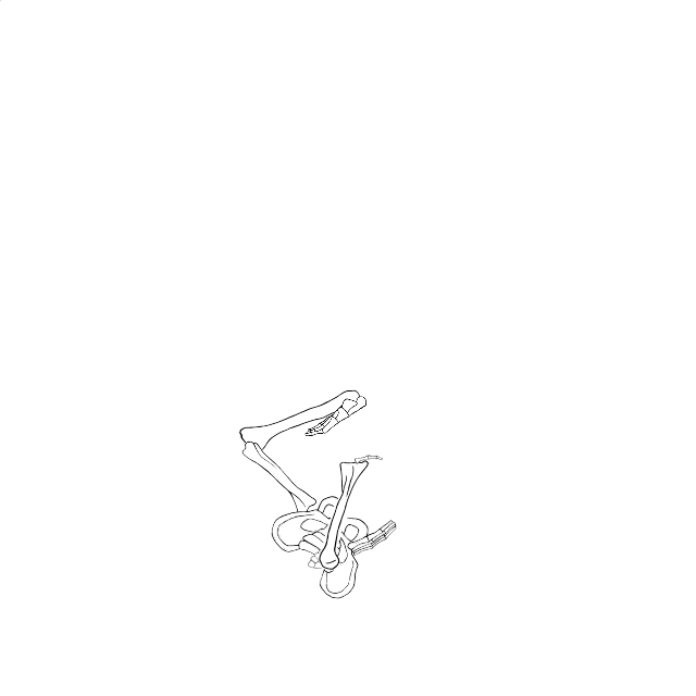 Dem bones dem bones dem – dry bones!