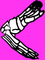 Dem bones dem bones dem – dry bones!