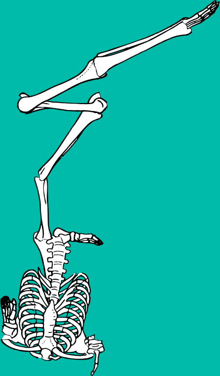 Dem bones dem bones dem – dry bones!