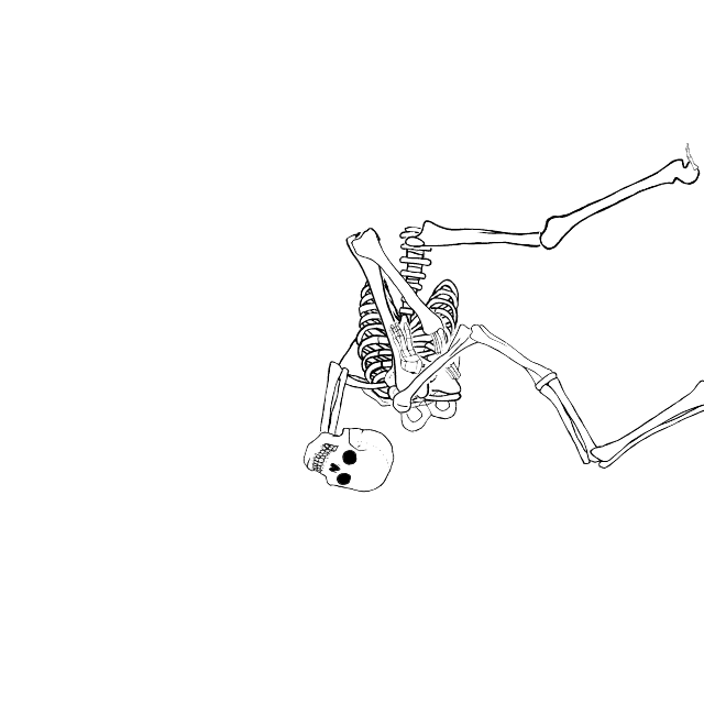 Dem bones dem bones dem – dry bones!