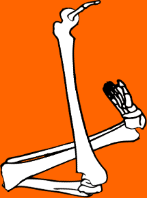 Dem bones dem bones dem – dry bones!