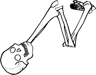 Dem bones dem bones dem – dry bones!