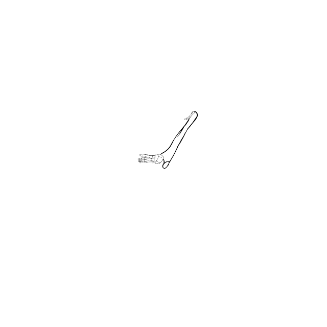 Dem bones dem bones dem – dry bones!