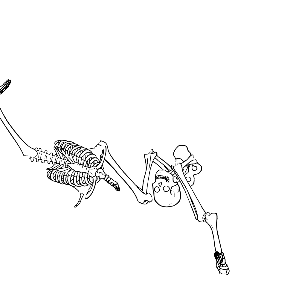 Dem bones dem bones dem – dry bones!
