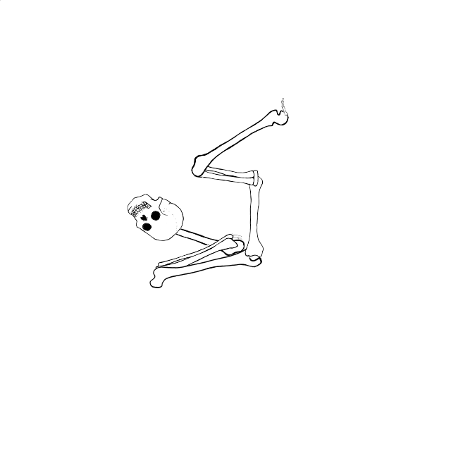 Dem bones dem bones dem – dry bones!
