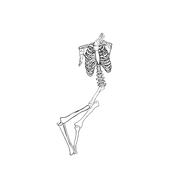 Dem bones dem bones dem – dry bones!