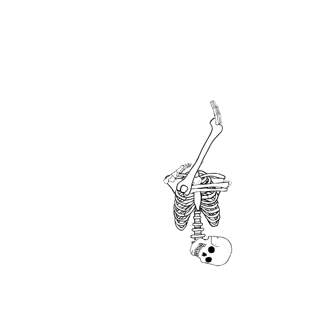 Dem bones dem bones dem – dry bones!