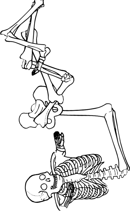Dem bones dem bones dem – dry bones!