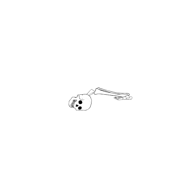 Dem bones dem bones dem – dry bones!
