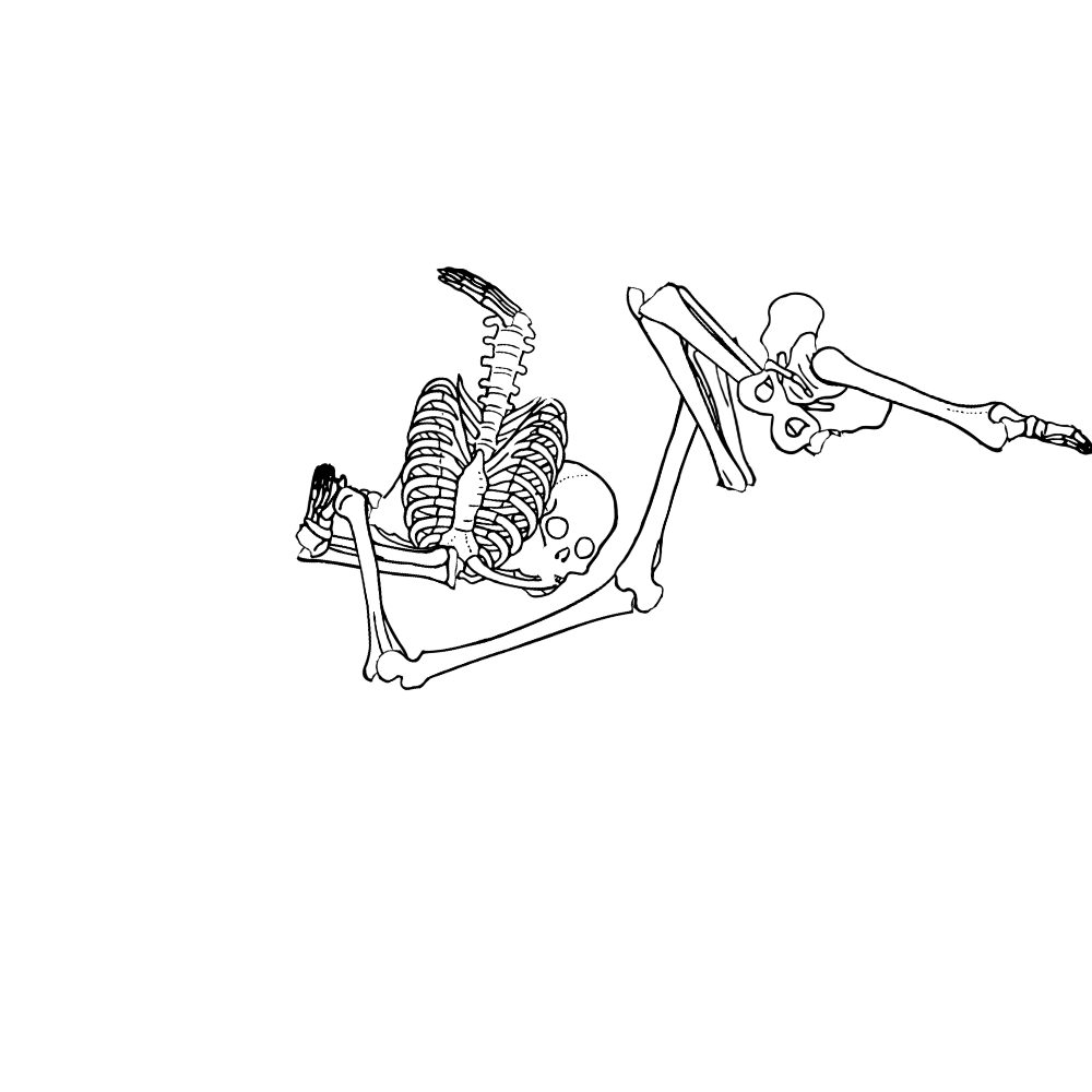 Dem bones dem bones dem – dry bones!