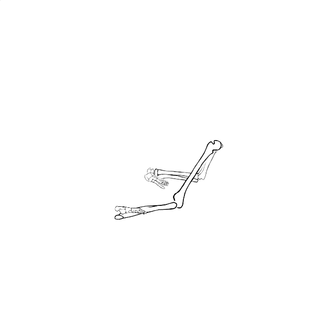 Dem bones dem bones dem – dry bones!
