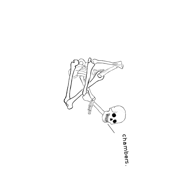 Dem bones dem bones dem – dry bones!