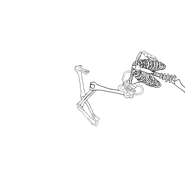 Dem bones dem bones dem – dry bones!