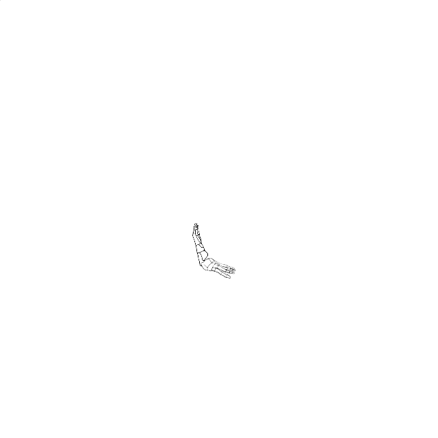 Dem bones dem bones dem – dry bones!