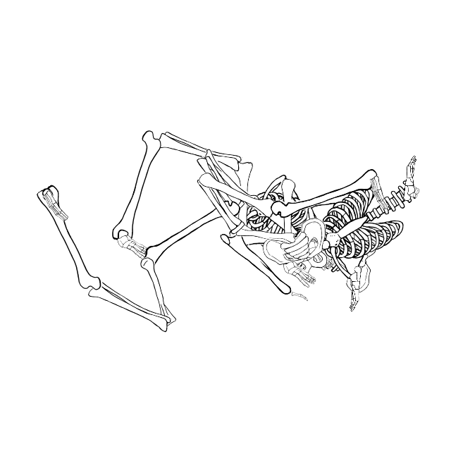 Dem bones dem bones dem – dry bones!