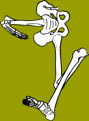 Dem bones dem bones dem – dry bones!