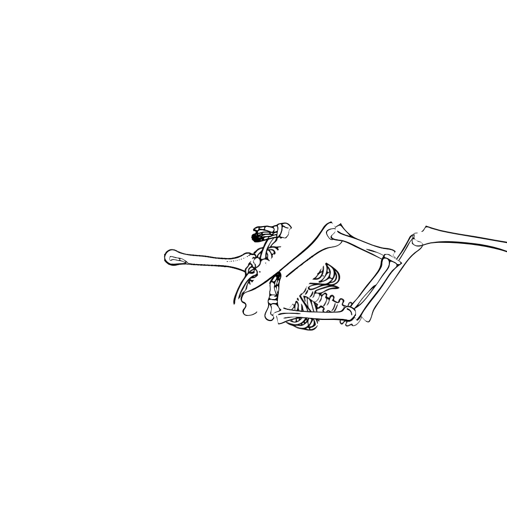 Dem bones dem bones dem – dry bones!
