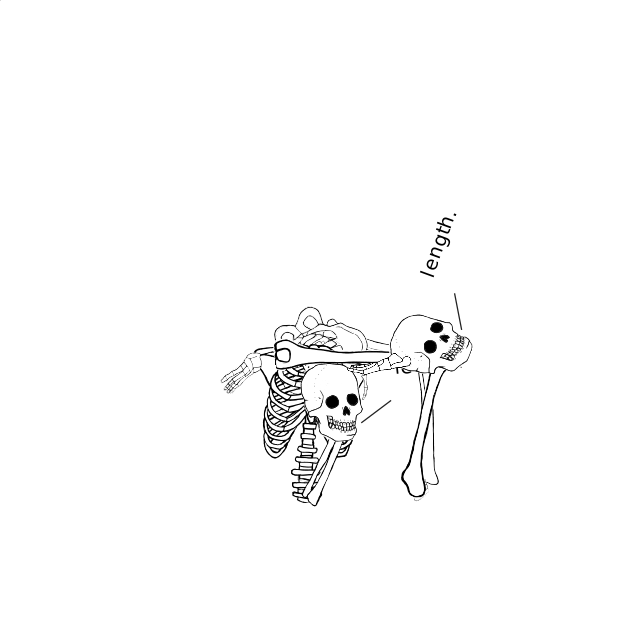 Dem bones dem bones dem – dry bones!