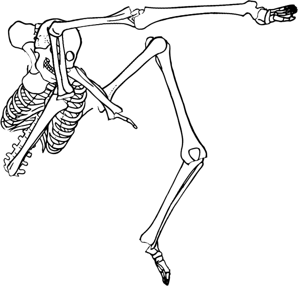 Dem bones dem bones dem – dry bones!