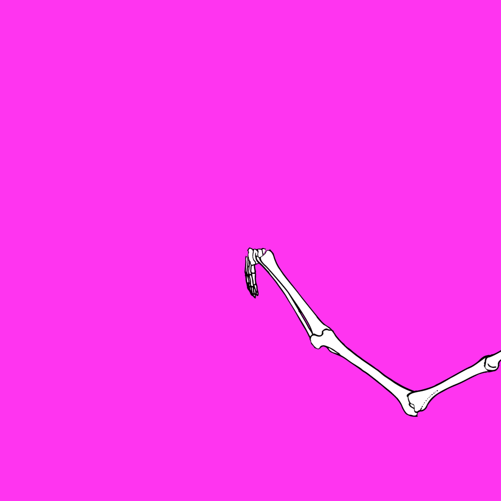 Dem bones dem bones dem – dry bones!