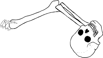 Dem bones dem bones dem – dry bones!