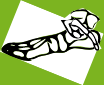 Dem bones dem bones dem – dry bones!  | Dem bones dem bones dem – extra bones!
