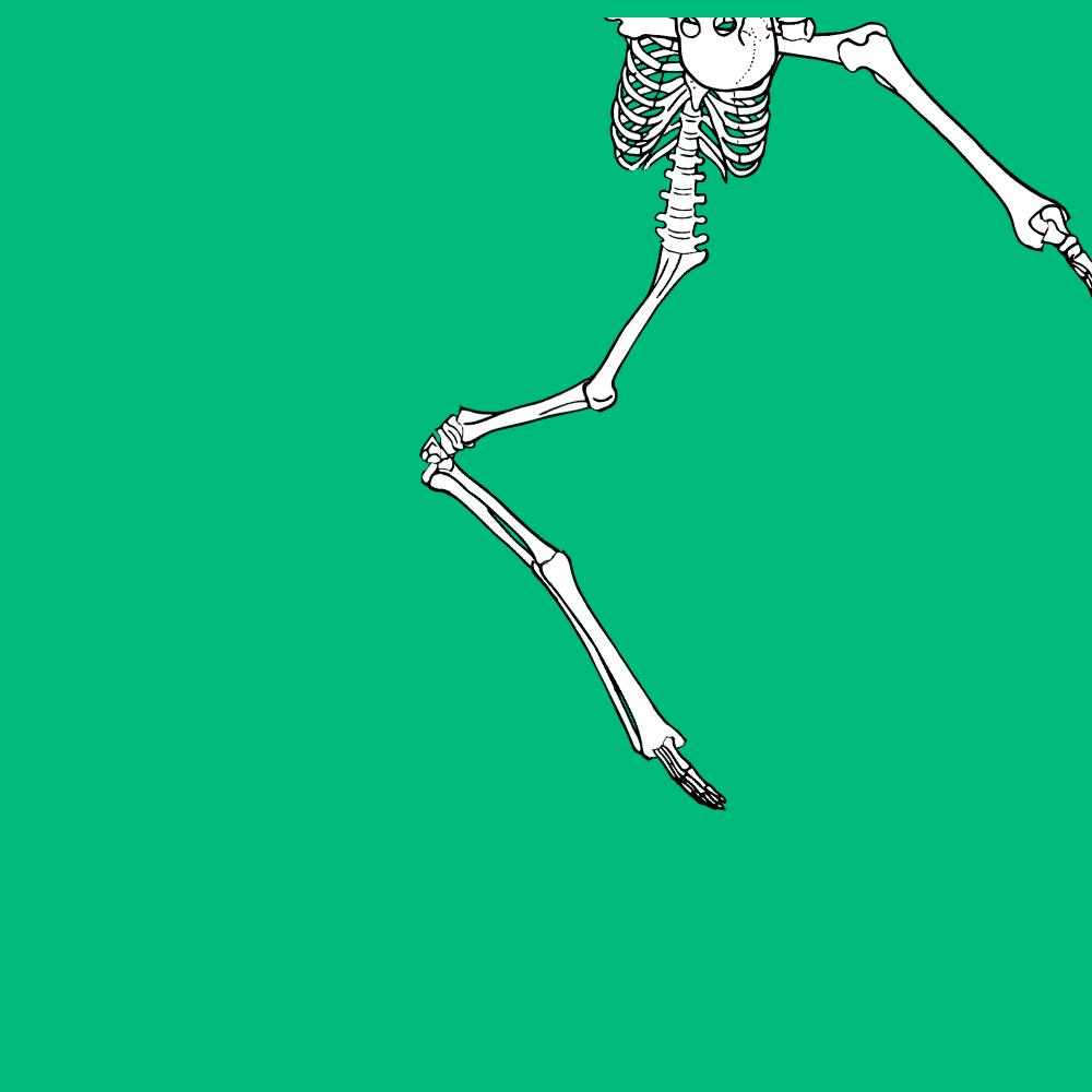 Dem bones dem bones dem – dry bones!