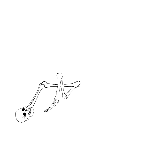 Dem bones dem bones dem – dry bones!