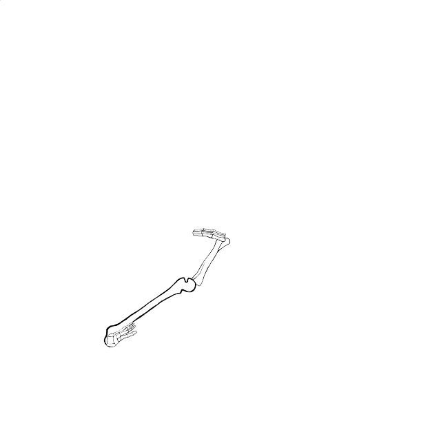 Dem bones dem bones dem – dry bones!