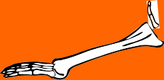 Dem bones dem bones dem – dry bones!