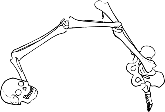 Dem bones dem bones dem – dry bones!