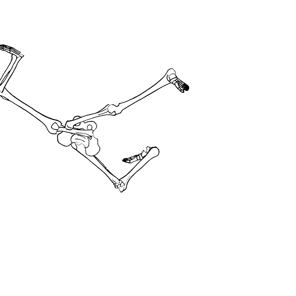 Dem bones dem bones dem – dry bones!