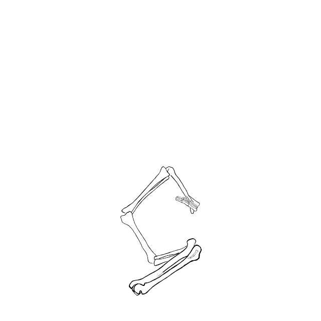 Dem bones dem bones dem – dry bones!