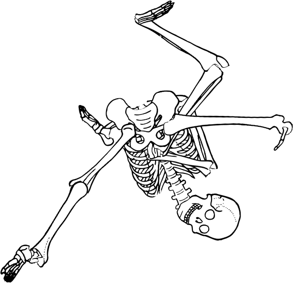 Dem bones dem bones dem – dry bones!