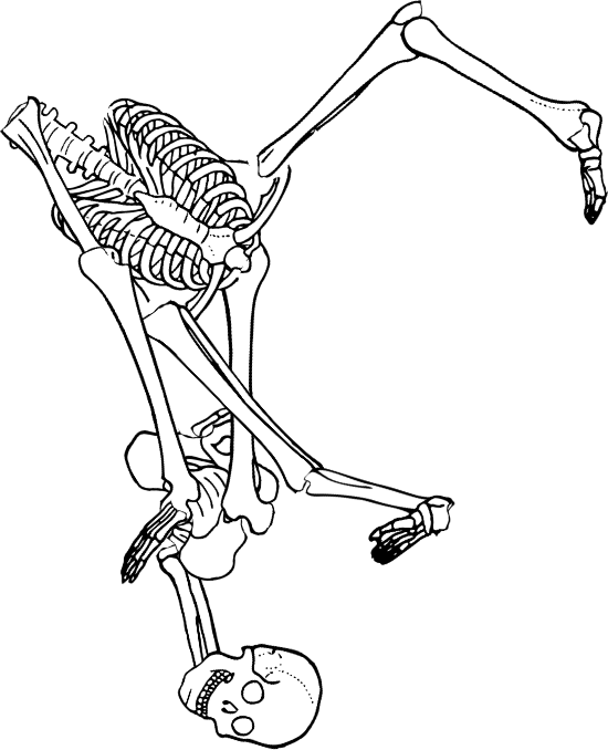 Dem bones dem bones dem – dry bones!