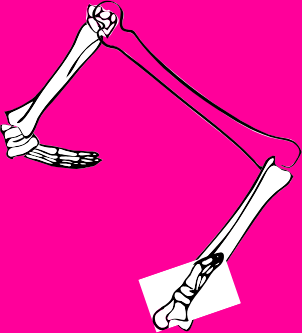 Dem bones dem bones dem – dry bones!