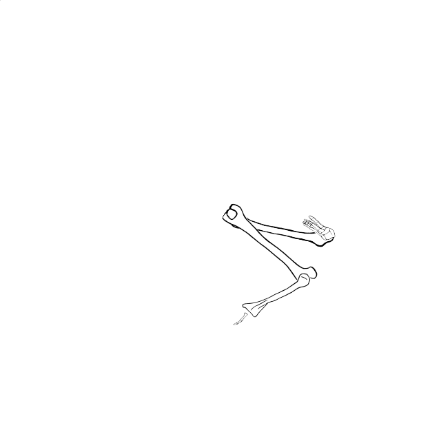 Dem bones dem bones dem – dry bones!