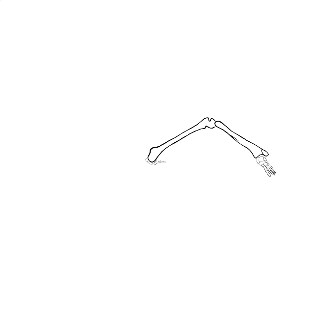 Dem bones dem bones dem – dry bones!