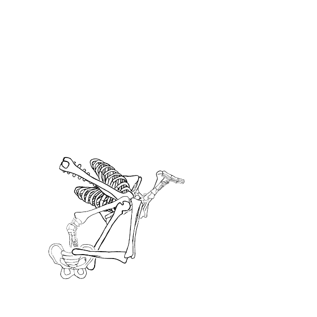 Dem bones dem bones dem – dry bones!
