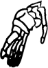 Dem bones dem bones dem – dry bones!