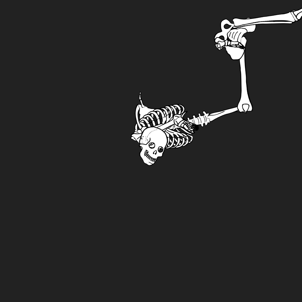Dem bones dem bones dem – dry bones!
